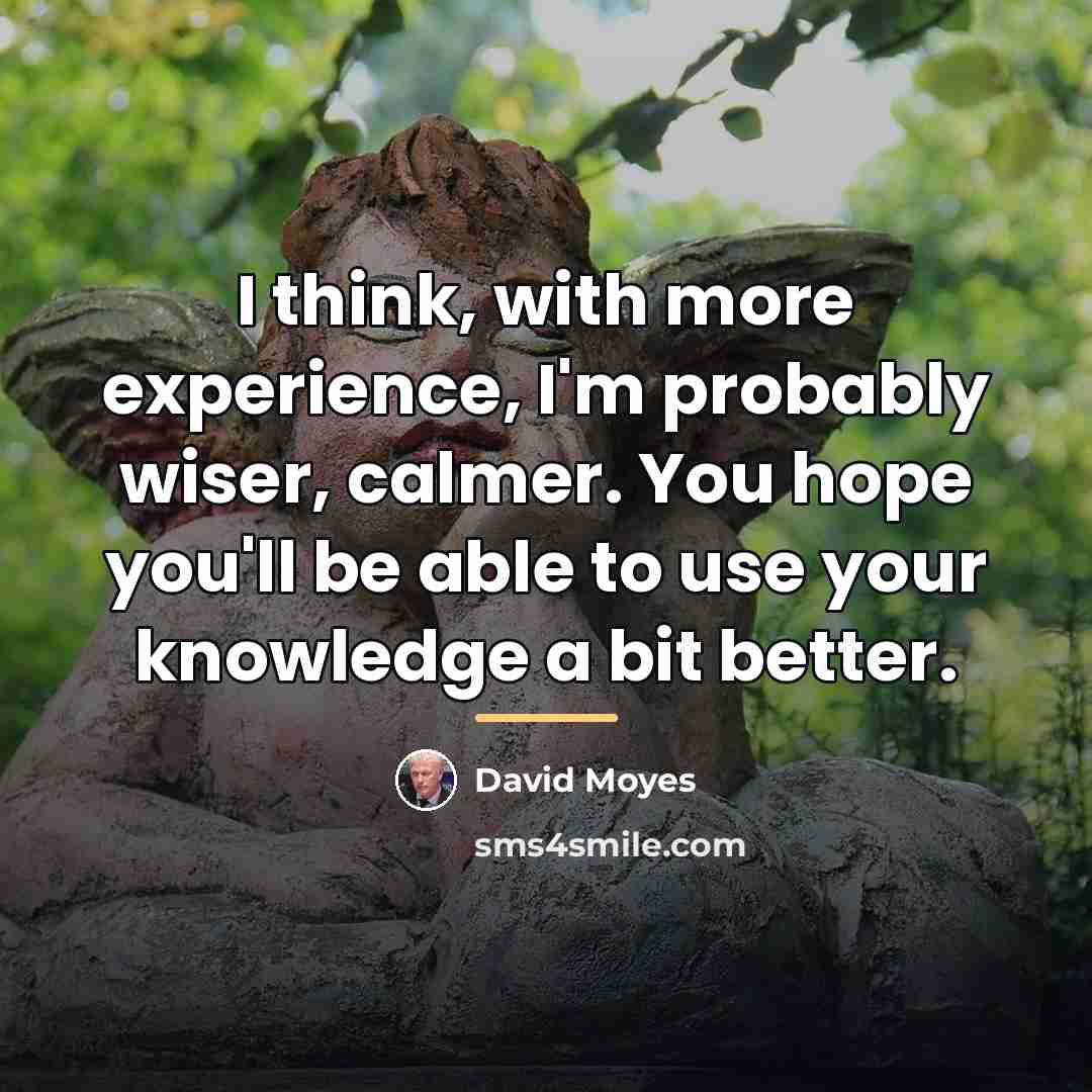 “I think, with more experience, I'm probably wiser, calmer. You…” quote by David Moyes