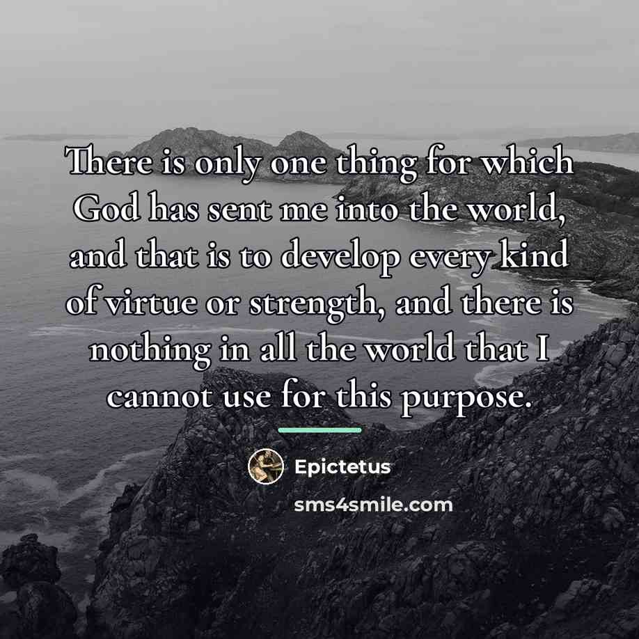“There is only one thing for which God has sent…” quote by Epictetus