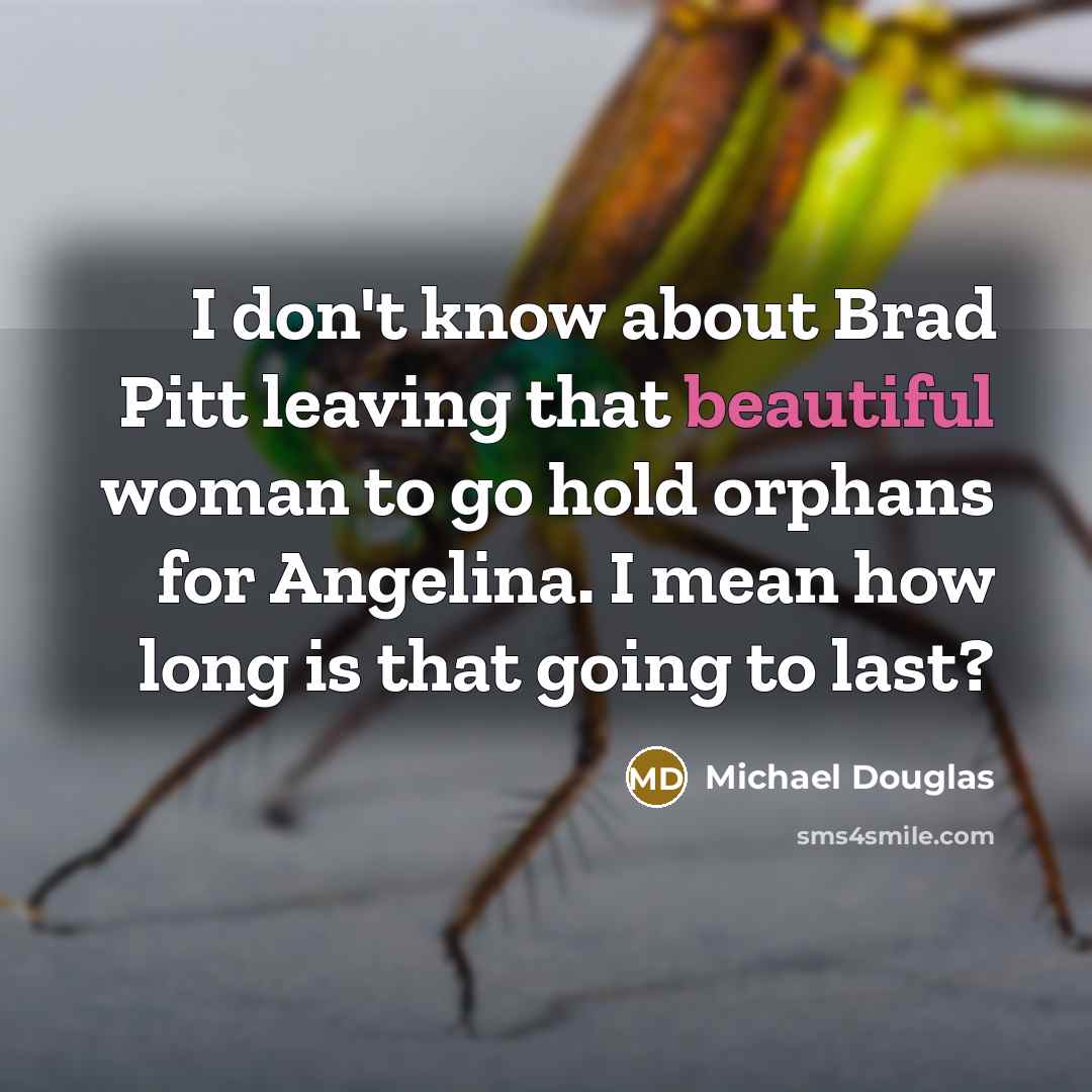 “I don't know about Brad Pitt leaving that beautiful woman…” quote by Michael Douglas