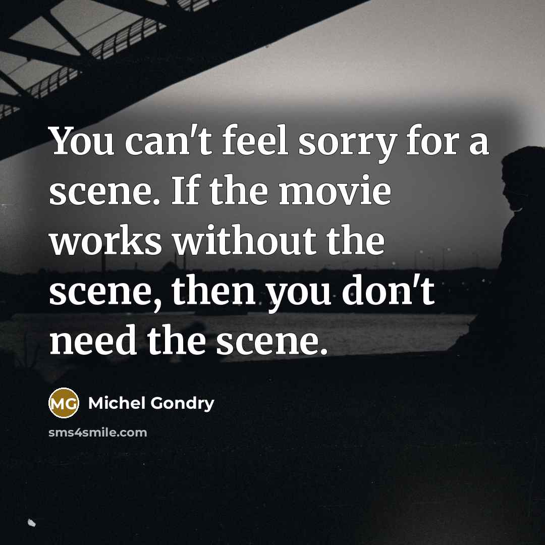 “You can't feel sorry for a scene. If the movie…” quote by Michel Gondry