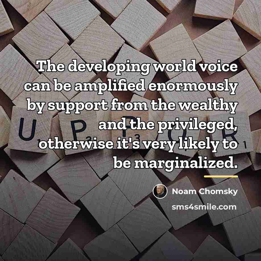 “The developing world voice can be amplified enormously by support…” quote by Noam Chomsky