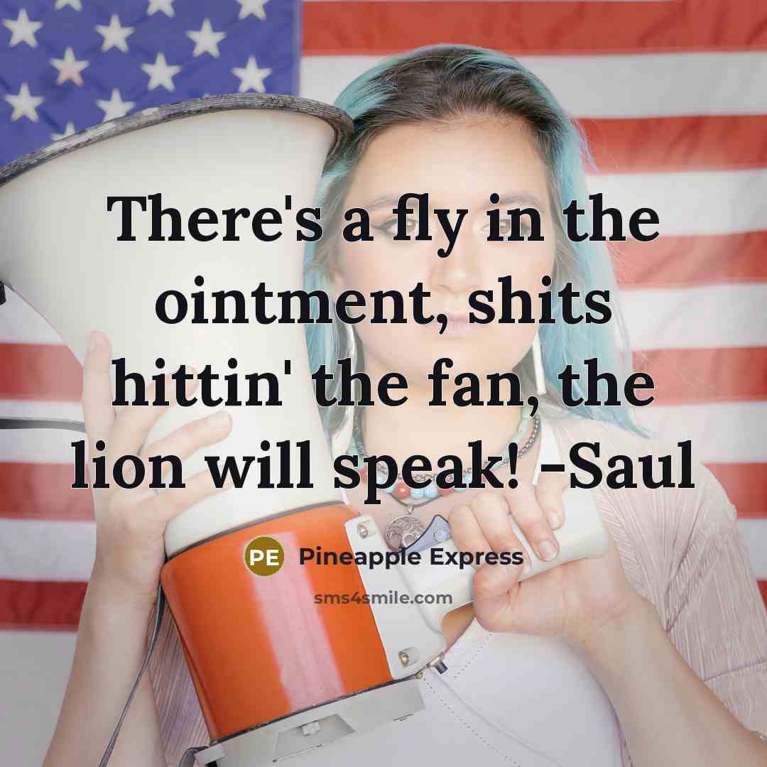 “There's a fly in the ointment, shits hittin' the fan, the lion will speak! -Saul” quote by Pineapple Express