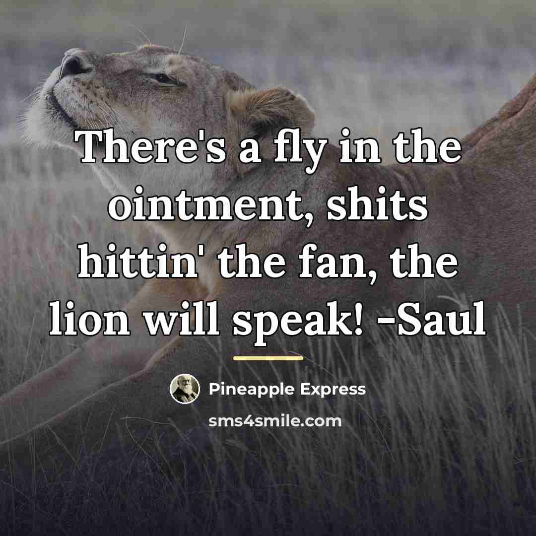 “There's a fly in the ointment, shits hittin' the fan,…” quote by Pineapple Express