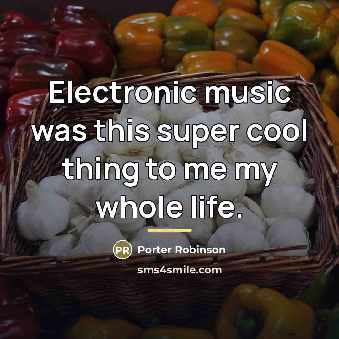 “Electronic music was this super cool thing to me my…” quote by Porter Robinson
