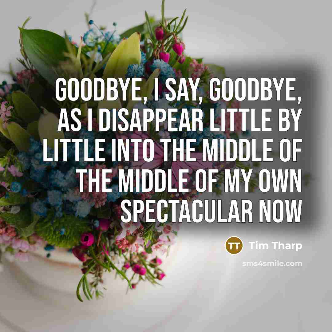 “Goodbye, I say, goodbye, as I disappear little by little…” quote by Tim Tharp