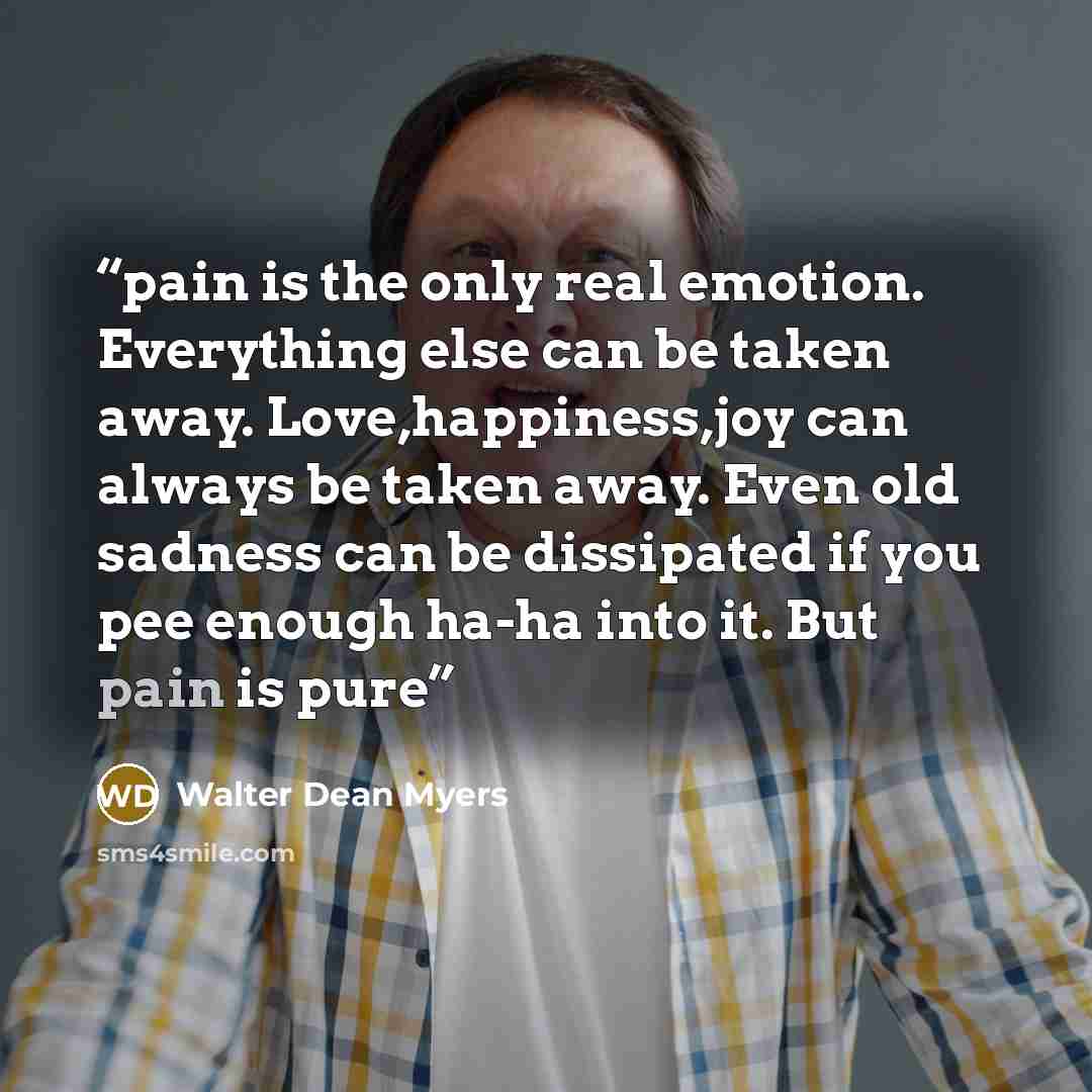 “pain is the only real emotion. Everything else can be taken away. Love,happiness,joy can always be taken away. Even old sadness can be dissipated if you pee enough ha-ha into it. But pain is pure” quote by Walter Dean Myers