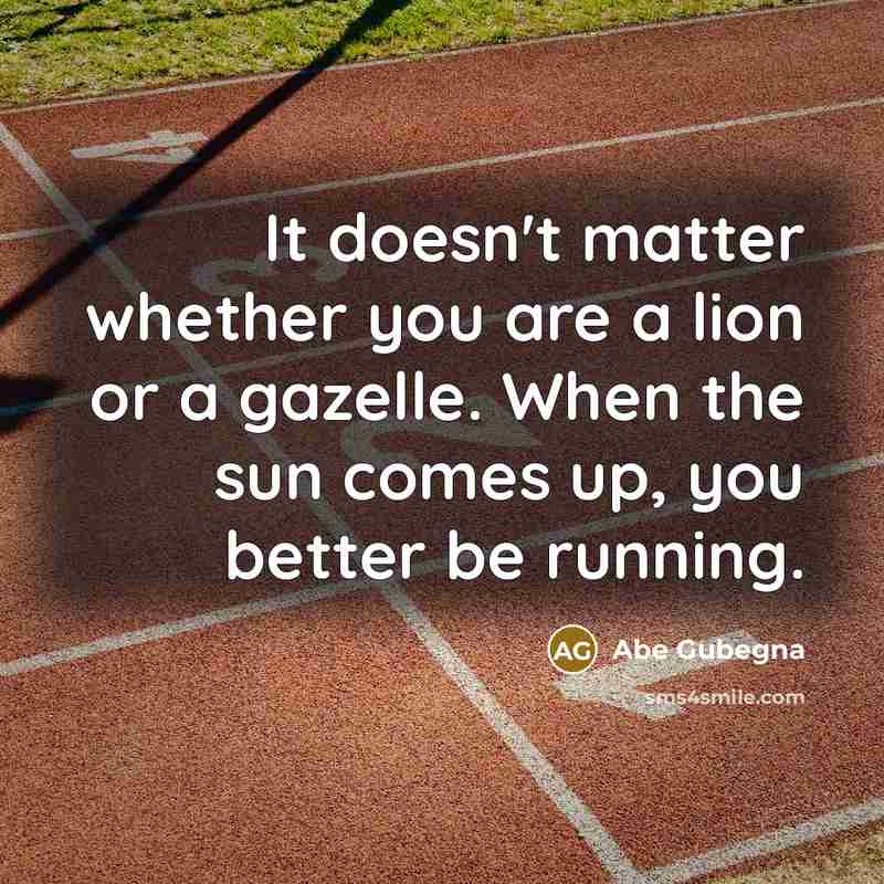 “It doesn't matter whether you are a lion or a…” quote by Abe Gubegna