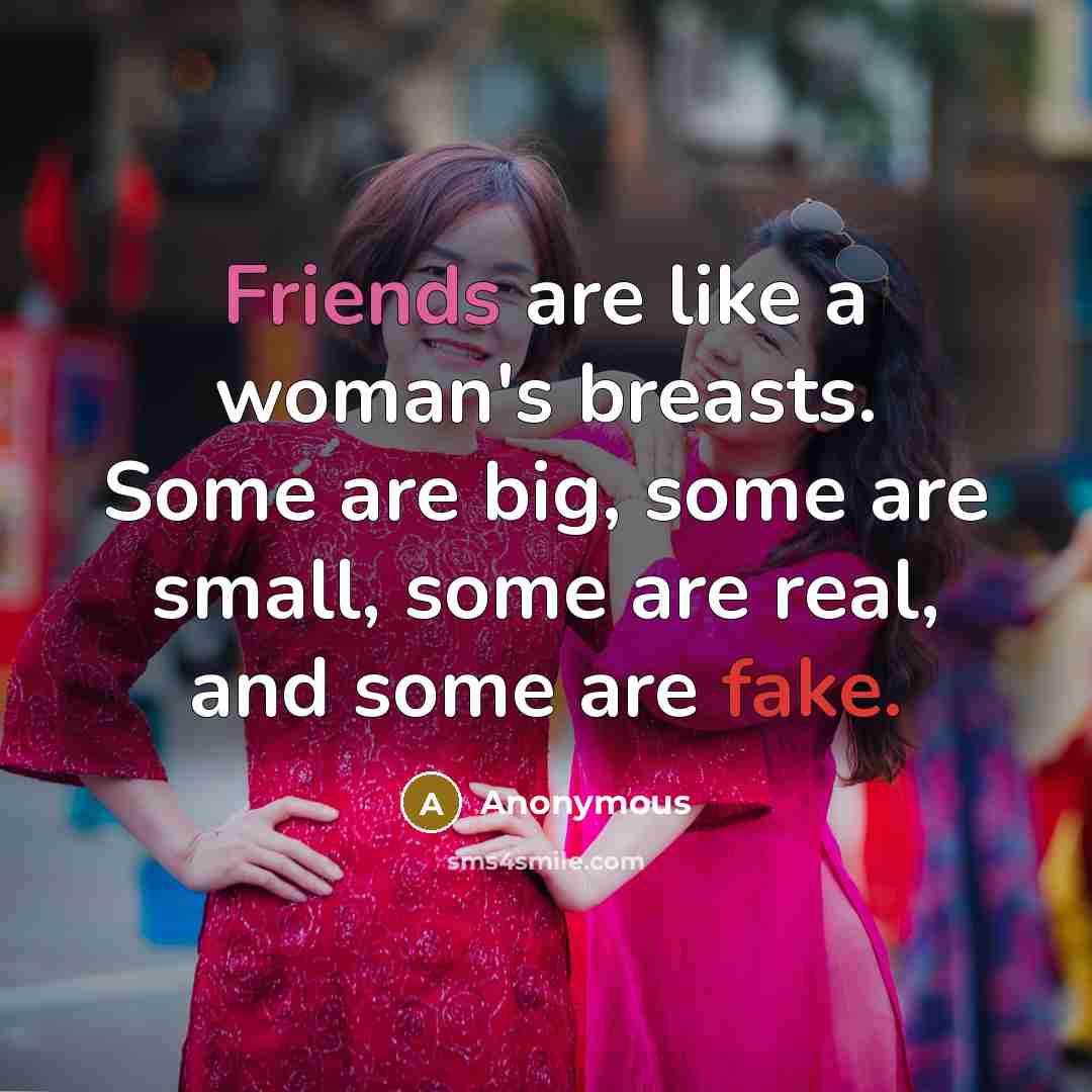 “Friends are like a woman's breasts. Some are big, some are small, some are real, and some are fake.” quote by Anonymous
