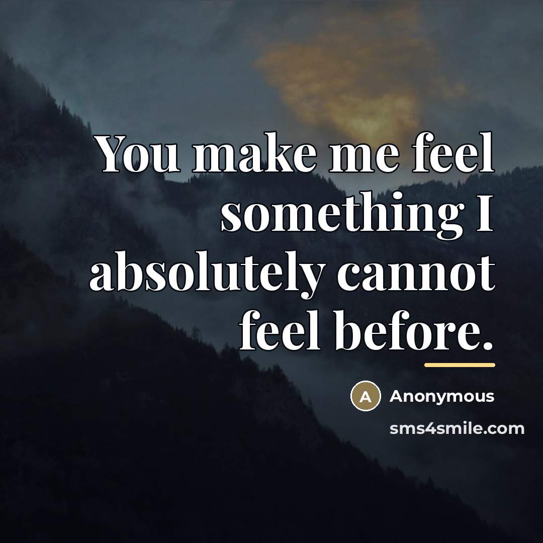 “You make me feel something I absolutely cannot feel before.…” quote by Anonymous