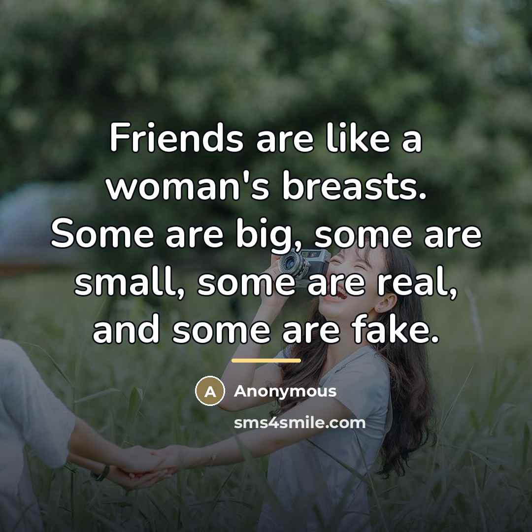 “Friends are like a woman's breasts. Some are big, some…” quote by Anonymous