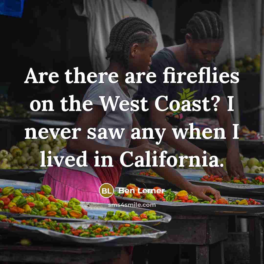 “Are there are fireflies on the West Coast? I never…” quote by Ben Lerner