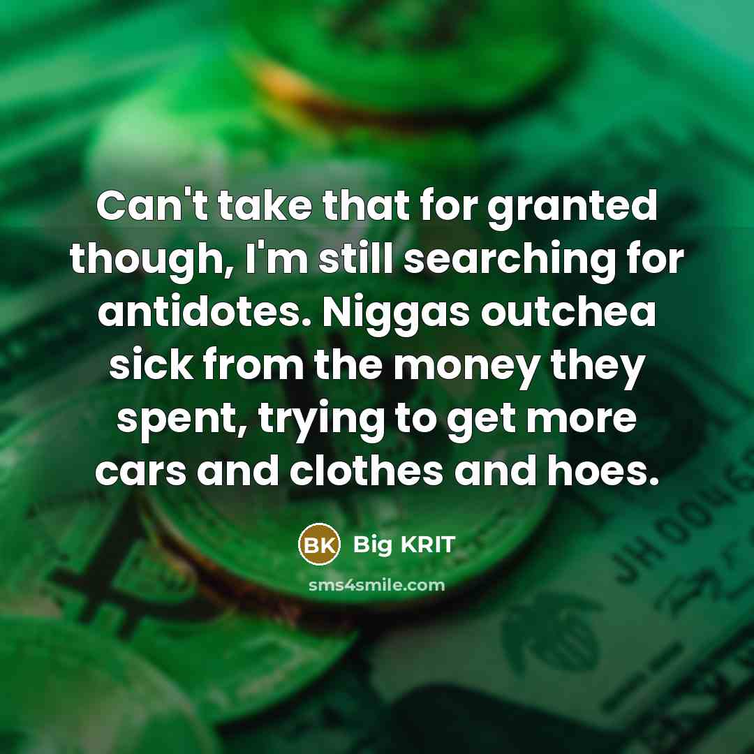 “Can't take that for granted though, I'm still searching for…” quote by Big Krit