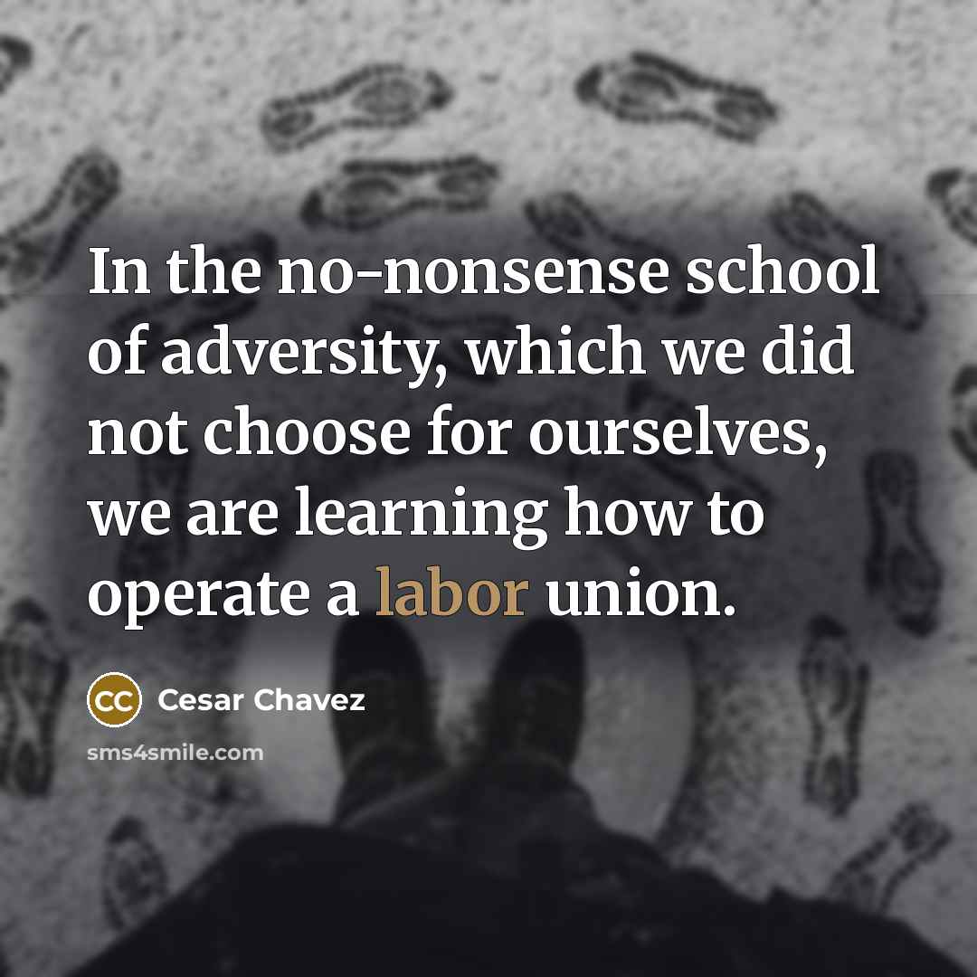 “In the no-nonsense school of adversity, which we did not…” quote by Cesar Chavez