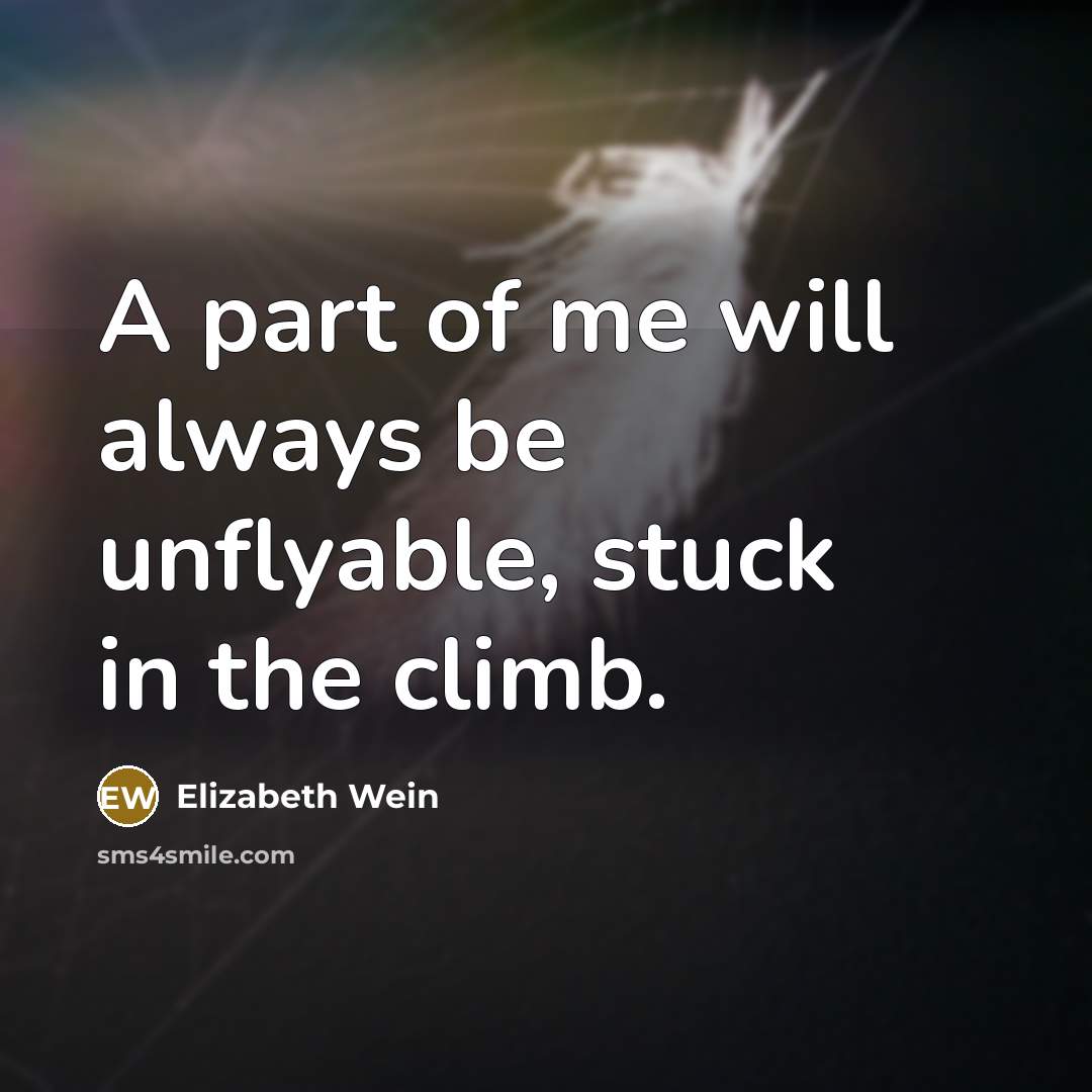 “A part of me will always be unflyable, stuck in the climb.” quote by Elizabeth Wein