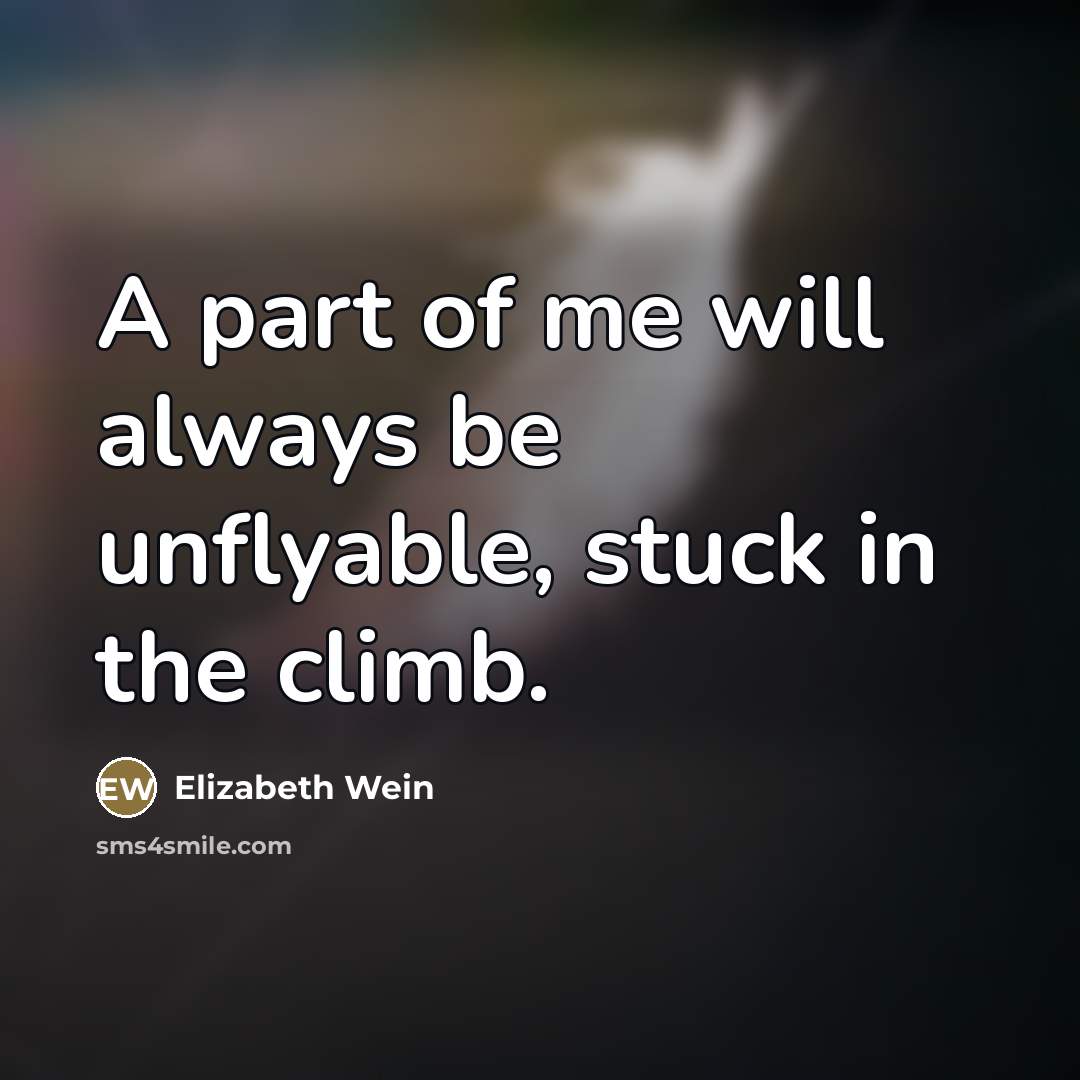 “A part of me will always be unflyable, stuck in…” quote by Elizabeth Wein