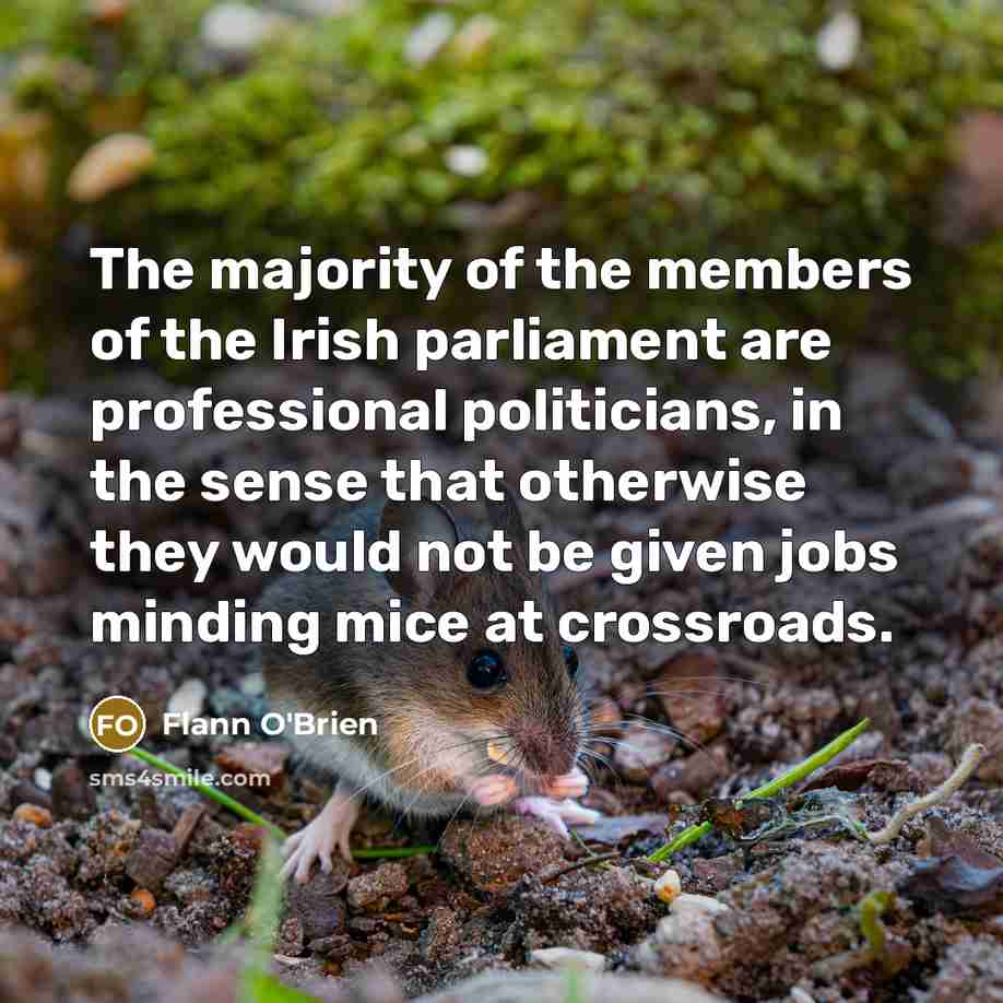 “The majority of the members of the Irish parliament are…” quote by Flann O'Brien