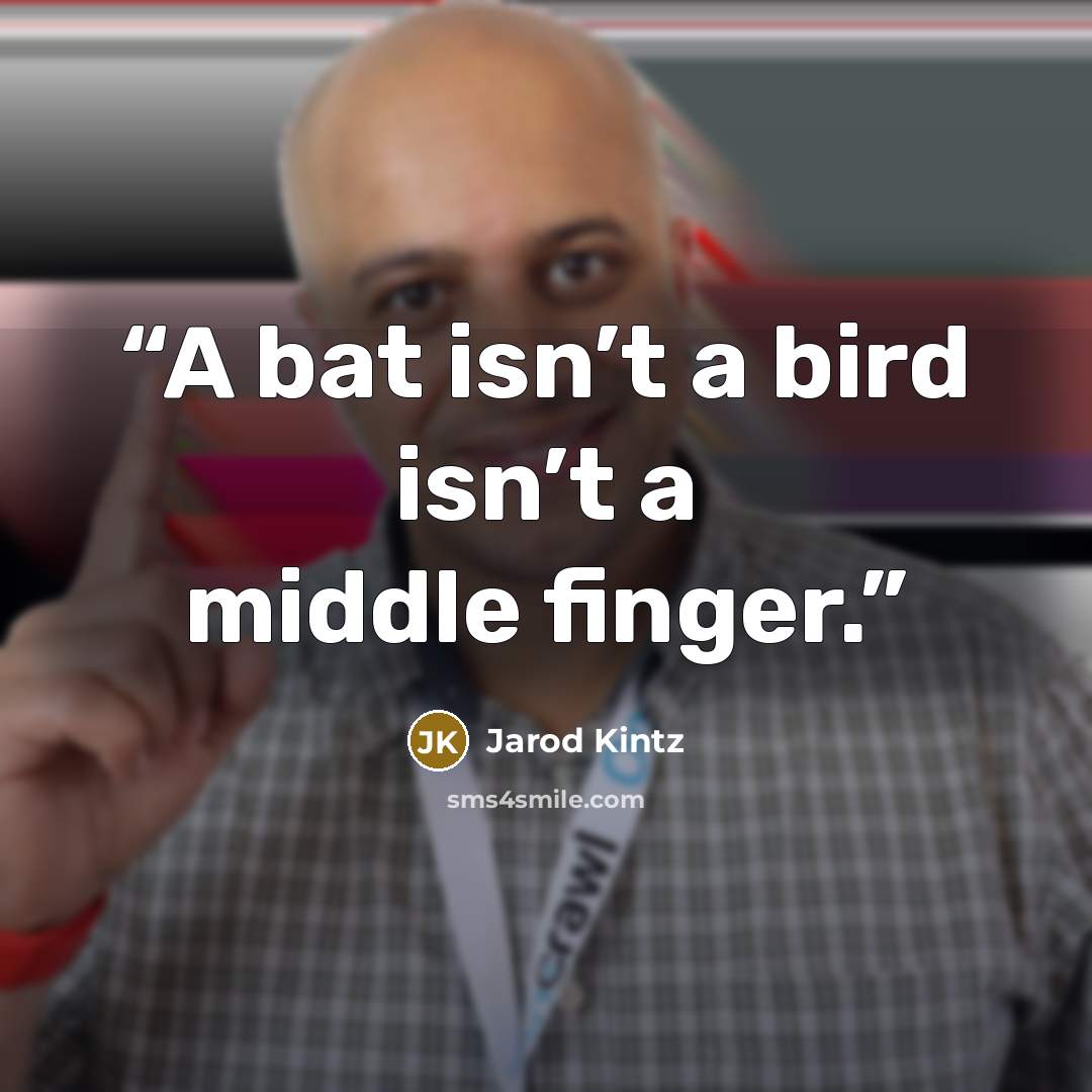 “A bat isn’t a bird isn’t a middle finger.” quote by Jarod Kintz