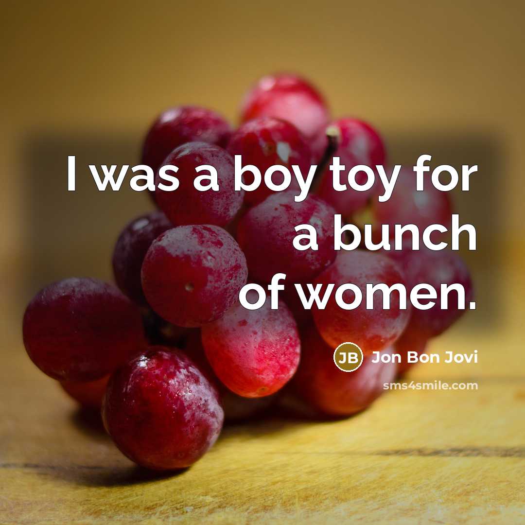 “I was a boy toy for a bunch of women.…” quote by Jon Bon Jovi