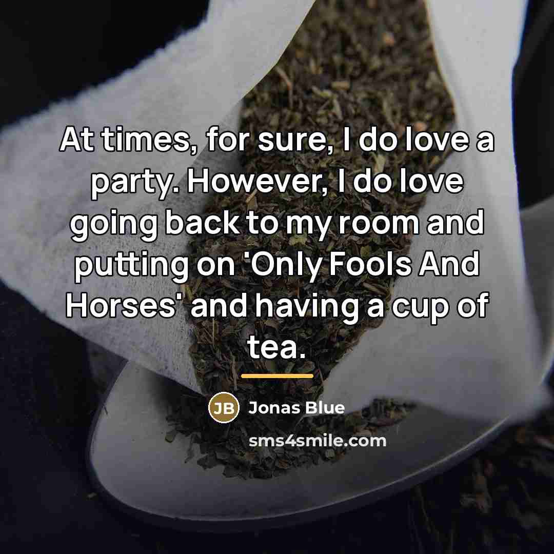 “At times, for sure, I do love a party. However,…” quote by Jonas Blue