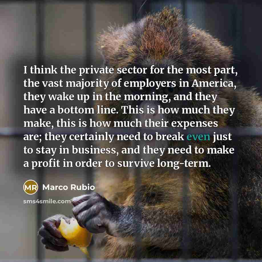 “I think the private sector for the most part, the…” quote by Marco Rubio