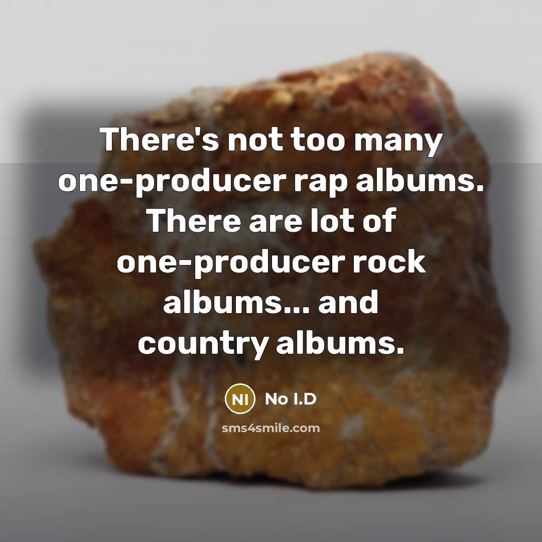 “There's not too many one-producer rap albums. There are lot…” quote by No I.D