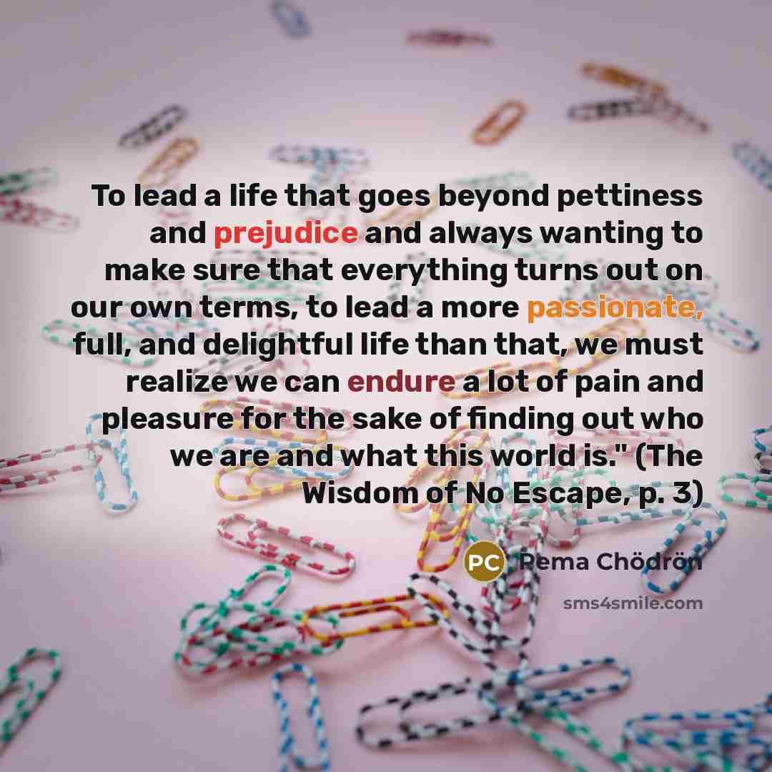 “To lead a life that goes beyond pettiness and prejudice…” quote by Pema Chodron