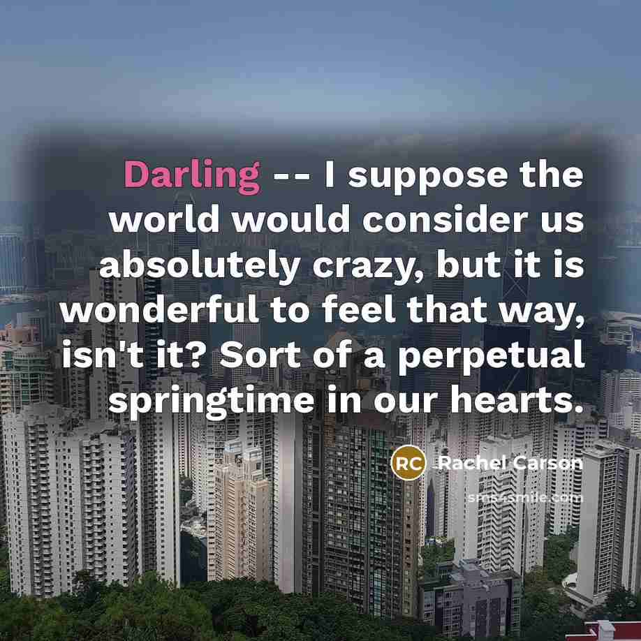 “Darling -- I suppose the world would consider us absolutely…” quote by Rachel Carson