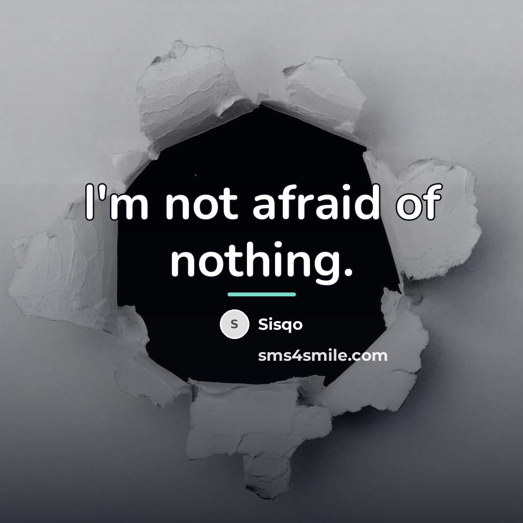“I'm not afraid of nothing.…” quote by Sisqo