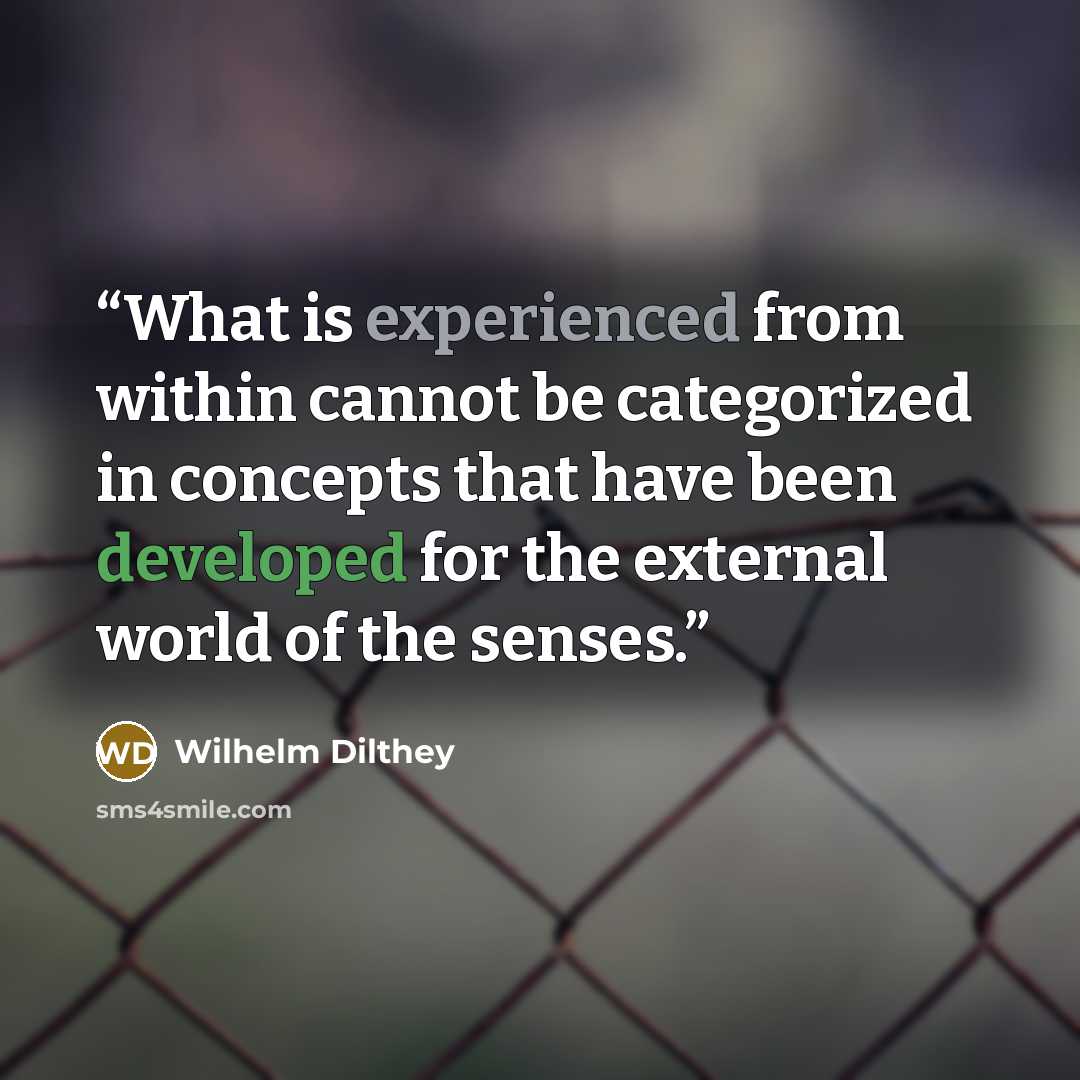 “What is experienced from within cannot be categorized in concepts that have been developed for the external world of the senses.” quote by Wilhelm Dilthey