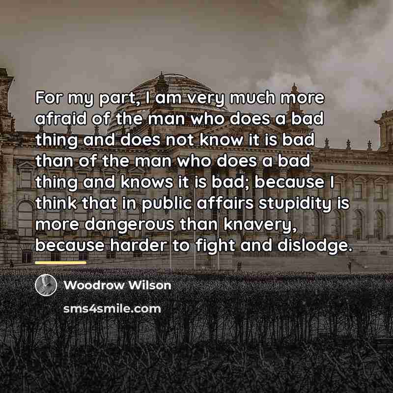 “For my part, I am very much more afraid of…” quote by Woodrow Wilson