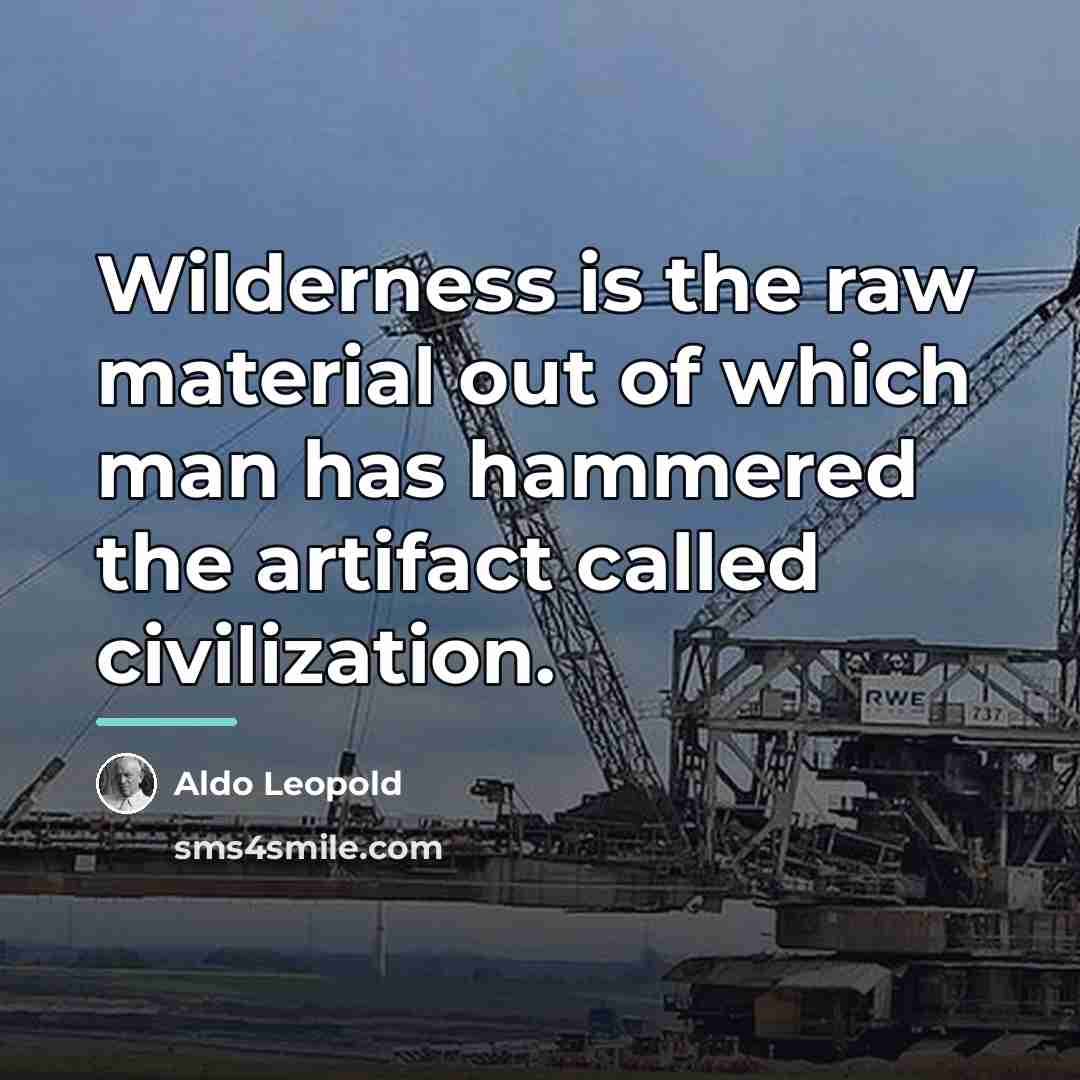 “Wilderness is the raw material out of which man has…” quote by Aldo Leopold