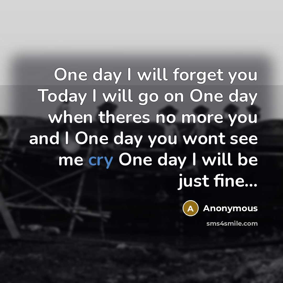 “One day I will forget you Today I will go on One day when theres no more you and I One day you wont see me cry One day I will be just fine…” quote by Anonymous