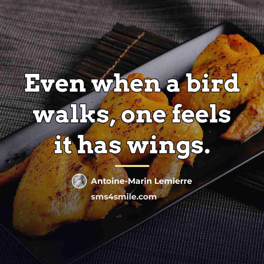 “Even when a bird walks, one feels it has wings.…” quote by Antoine-Marin Lemierre