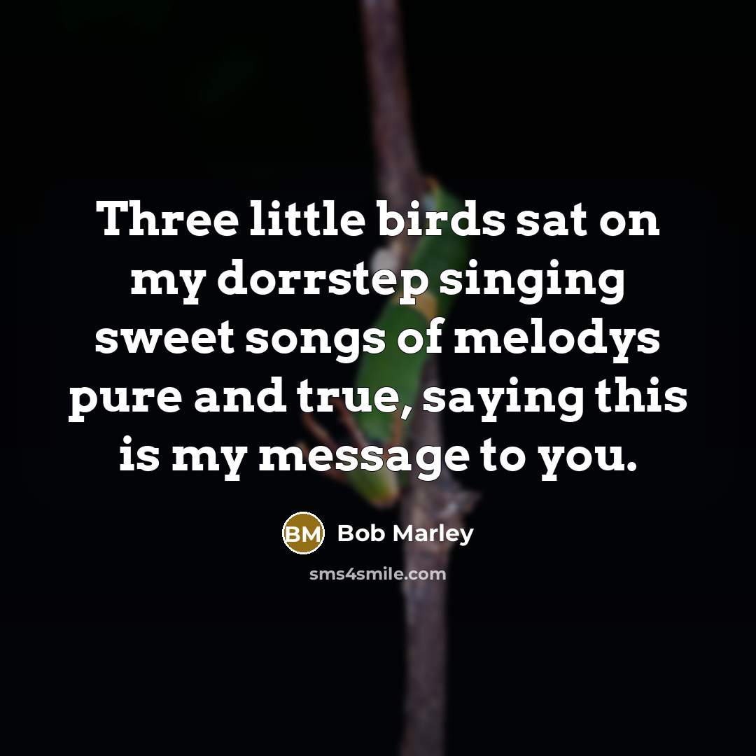 “Three little birds sat on my dorrstep singing sweet songs…” quote by Bob Marley