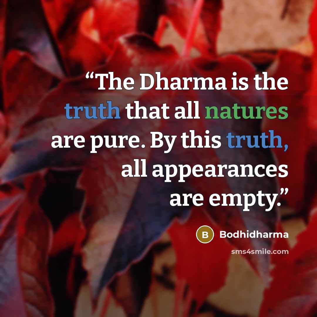 “The Dharma is the truth that all natures are pure. By this truth, all appearances are empty.” quote by Bodhidharma