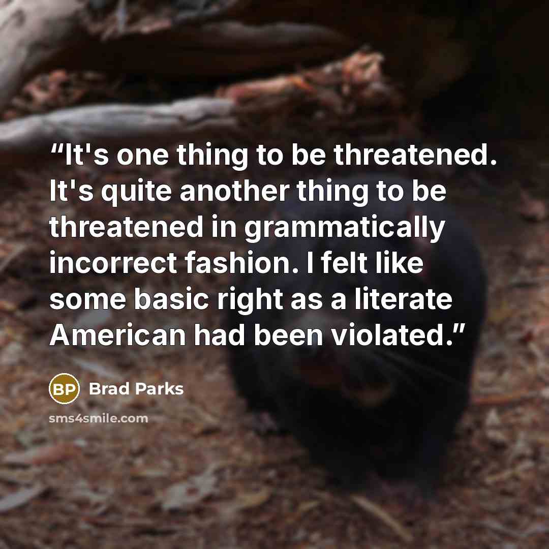 “It's one thing to be threatened. It's quite another thing to be threatened in grammatically incorrect fashion. I felt like some basic right as a literate American had been violated.” quote by Brad Parks