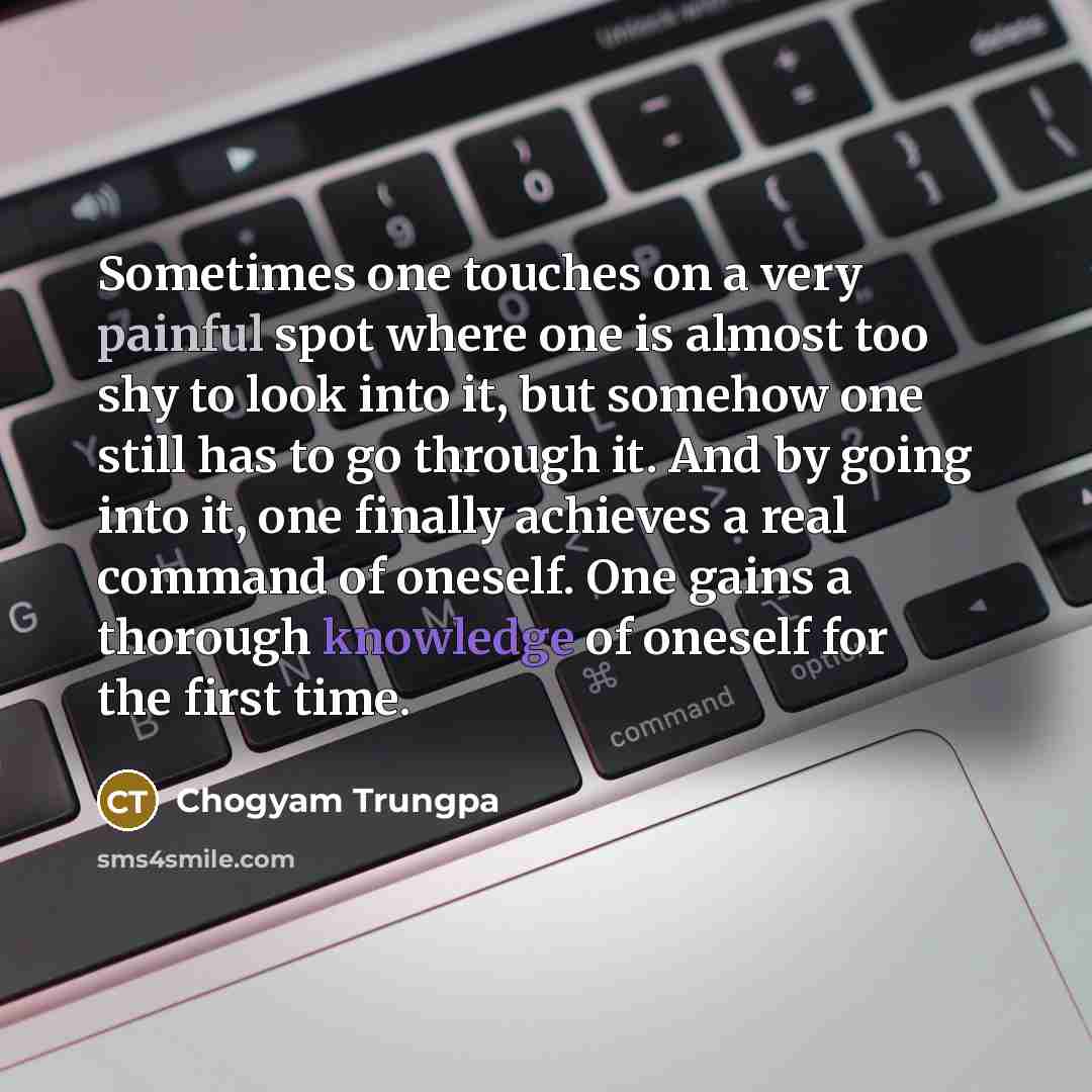“Sometimes one touches on a very painful spot where one…” quote by Chogyam Trungpa