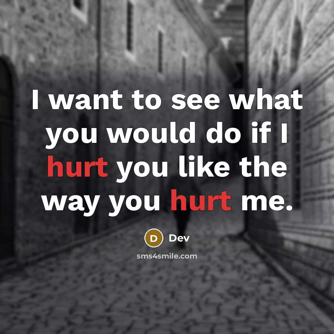“I want to see what you would do if I hurt you like the way you hurt me.” quote by Dev