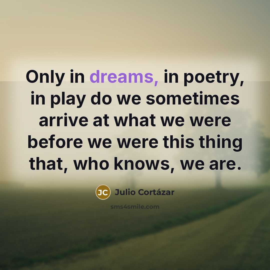 “Only in dreams, in poetry, in play do we sometimes…” quote by Julio Cortazar