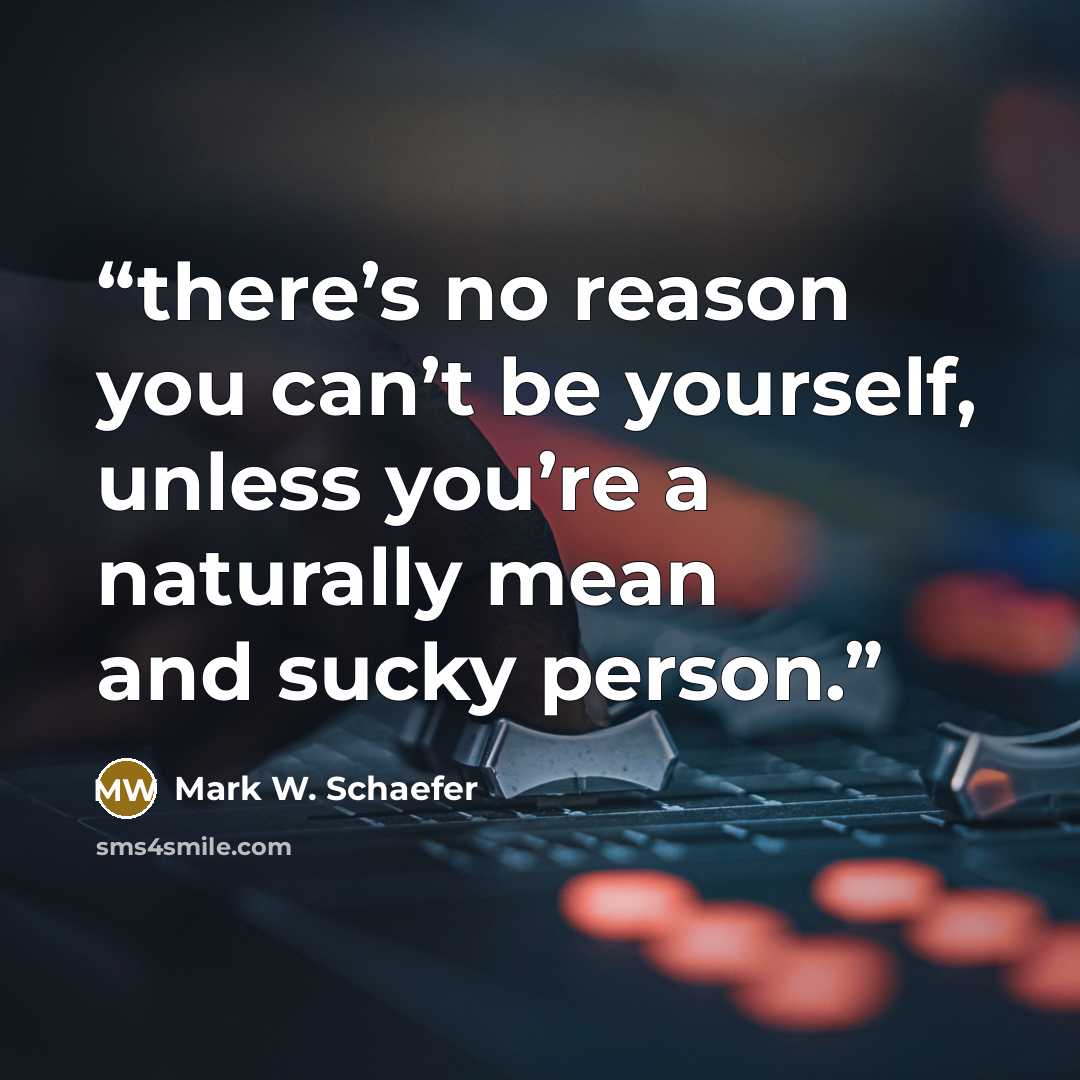 “there’s no reason you can’t be yourself, unless you’re a naturally mean and sucky person.” quote by Mark W. Schaefer