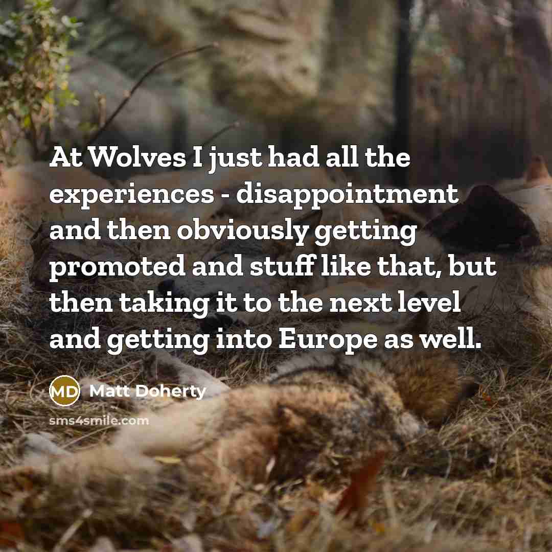 “At Wolves I just had all the experiences - disappointment…” quote by Matt Doherty