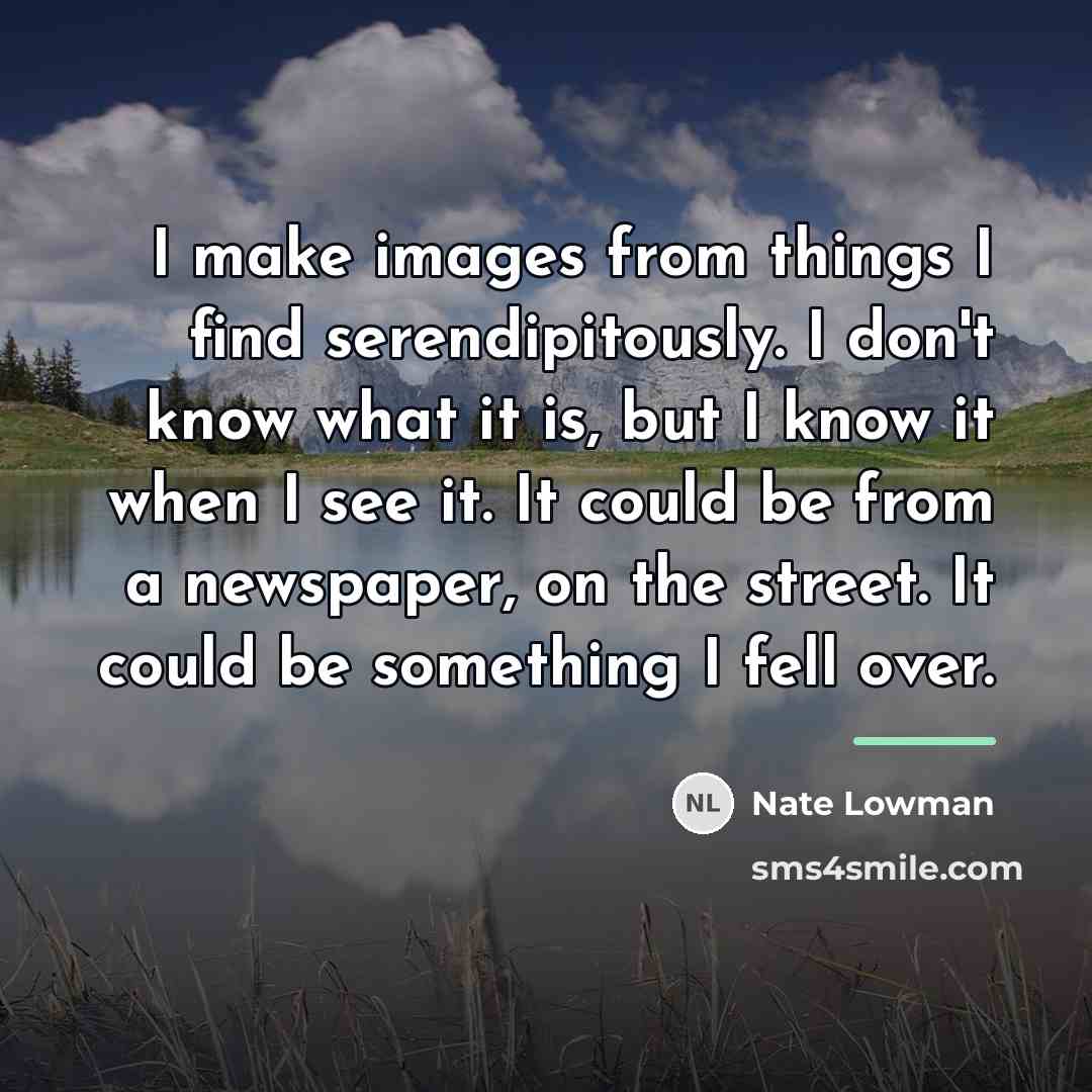“I make images from things I find serendipitously. I don't…” quote by Nate Lowman