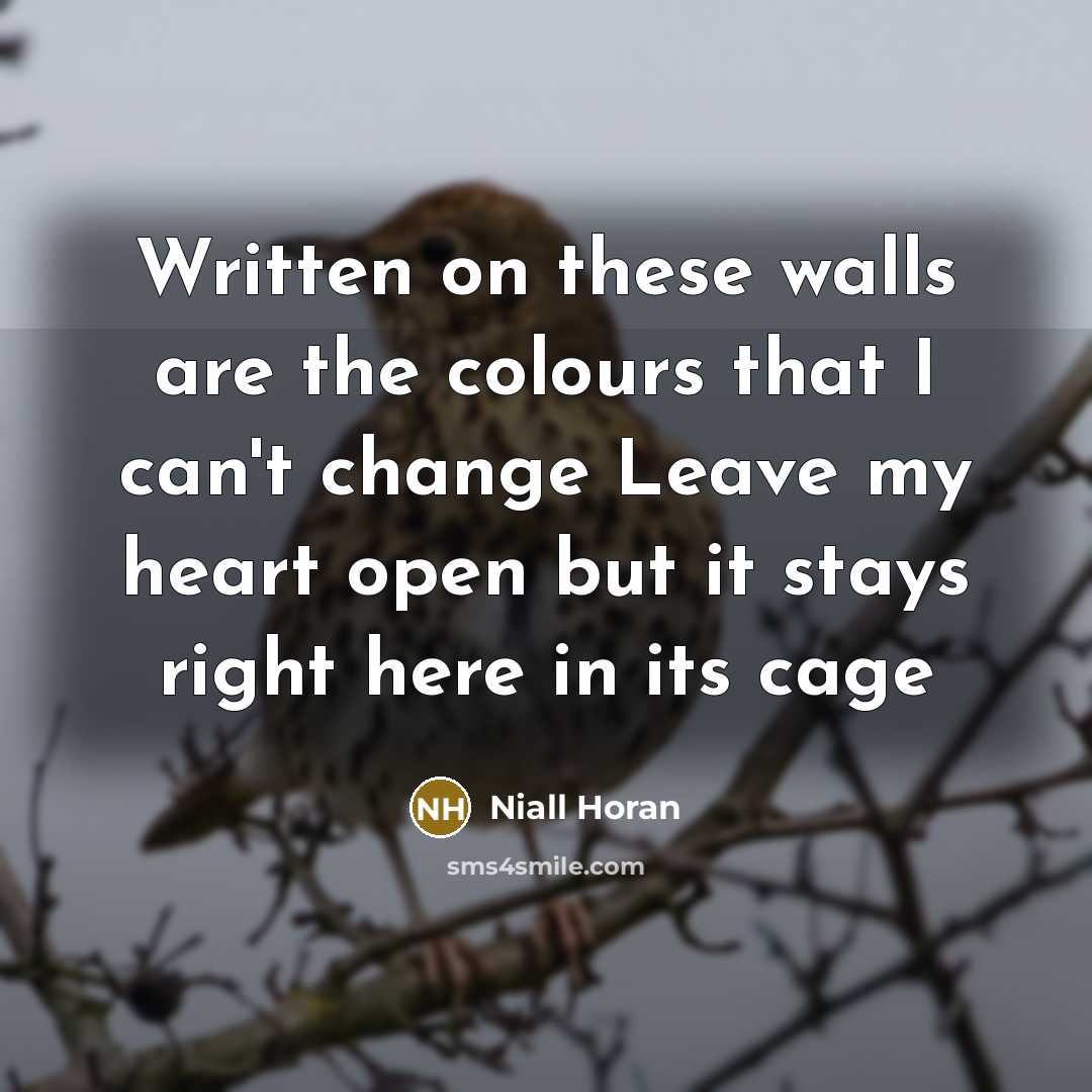 “Written on these walls are the colours that I can't change Leave my heart open but it stays right here in its cage” quote by Niall Horan