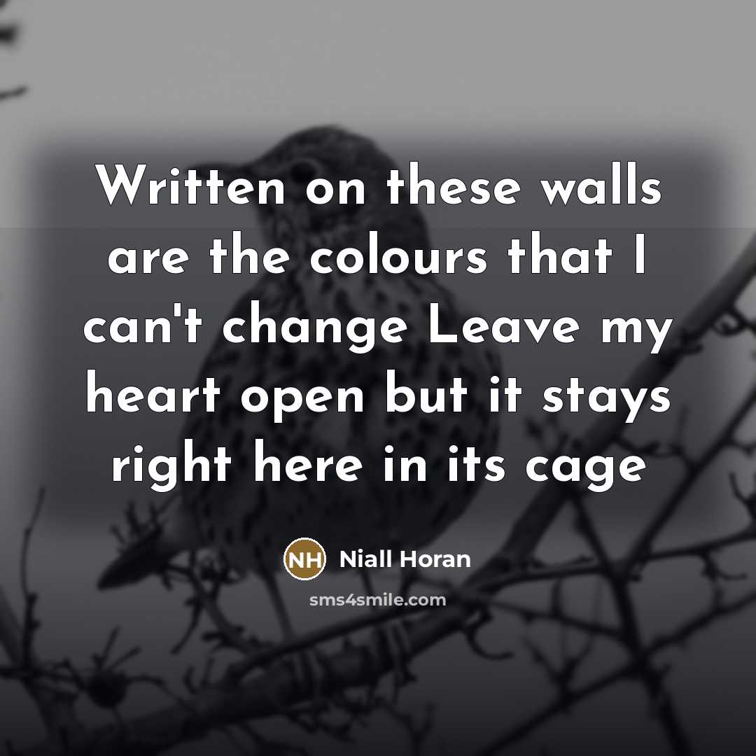 “Written on these walls are the colours that I can't…” quote by Niall Horan