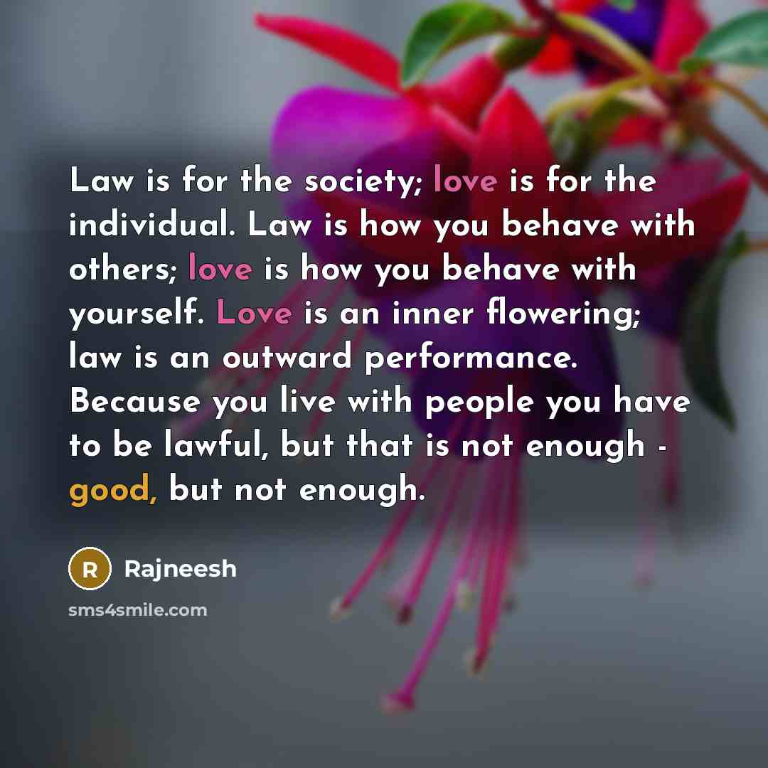 “Law is for the society; love is for the individual.…” quote by Rajneesh