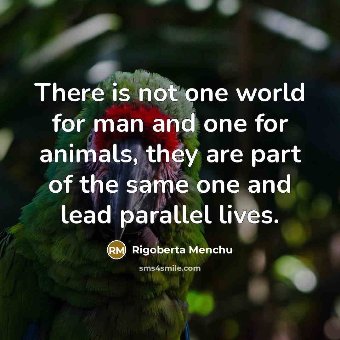 “There is not one world for man and one for…” quote by Rigoberta Menchu