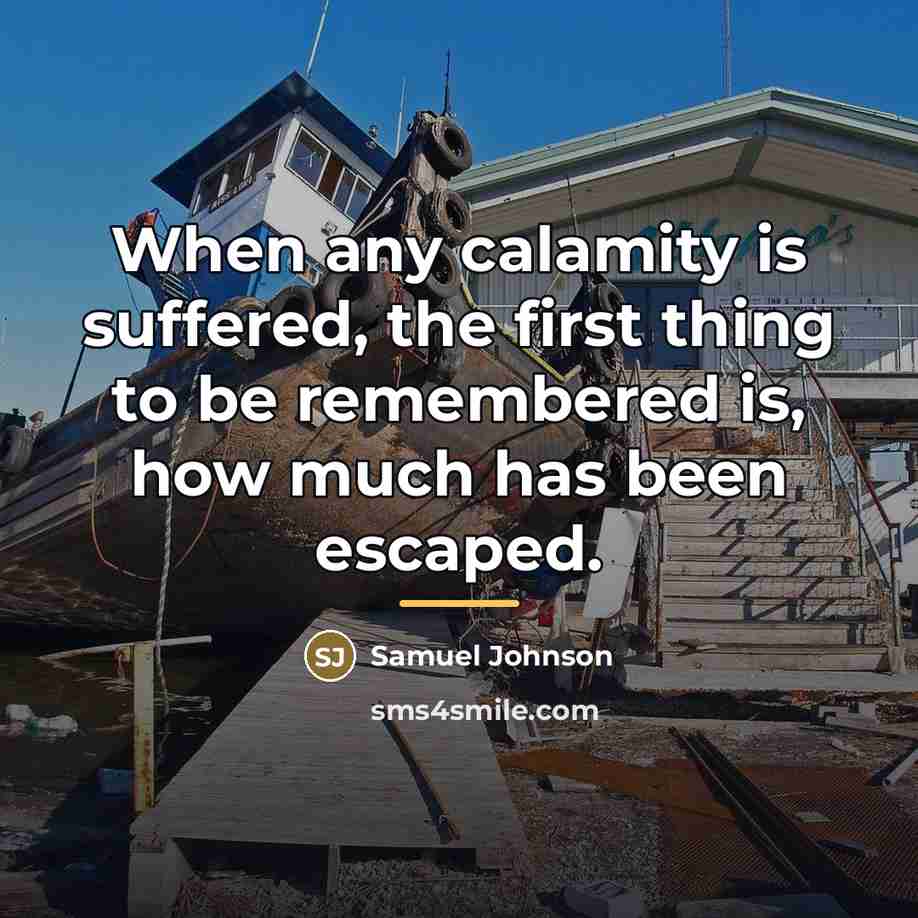 “When any calamity is suffered, the first thing to be…” quote by Samuel Johnson