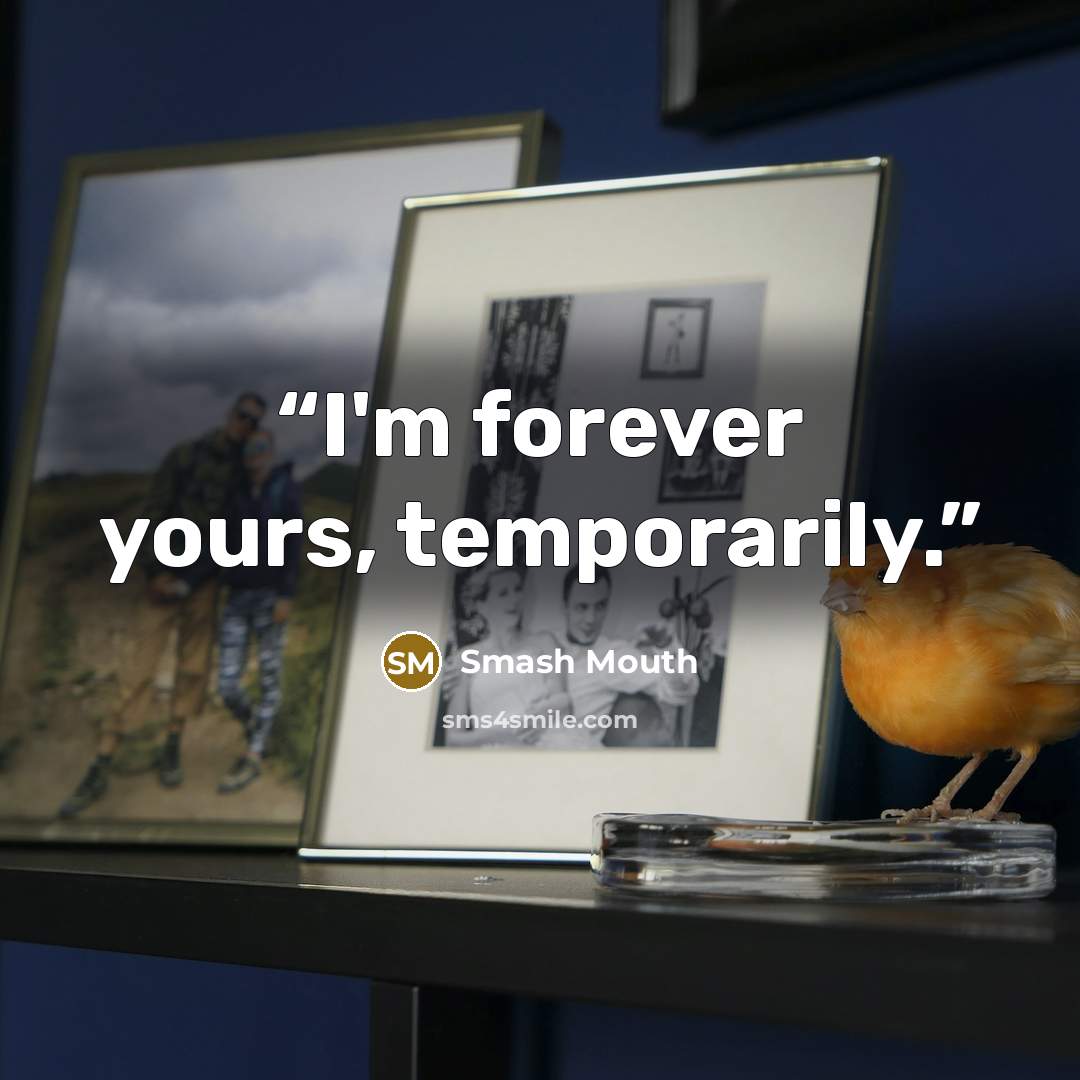 “I'm forever yours, temporarily.” quote by Smash Mouth