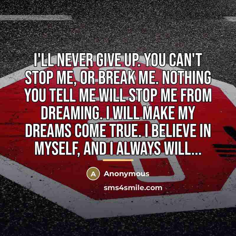 “I'll never give up. You can't stop me, or break…” quote by Anonymous