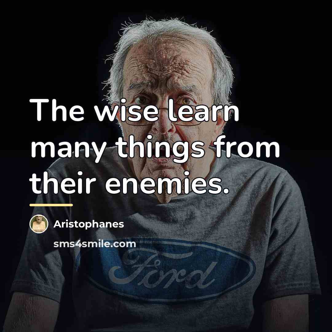 “The wise learn many things from their enemies.…” quote by Aristophanes